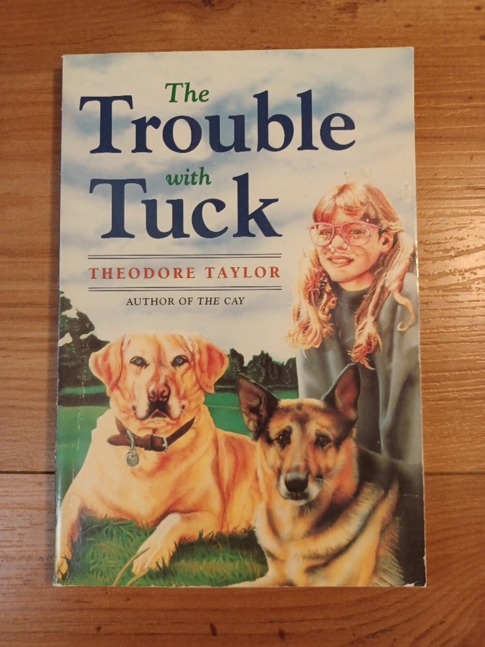 The Trouble With Tuck: The Inspiring Story Of A-Dog Who Triumphs Against All Odd